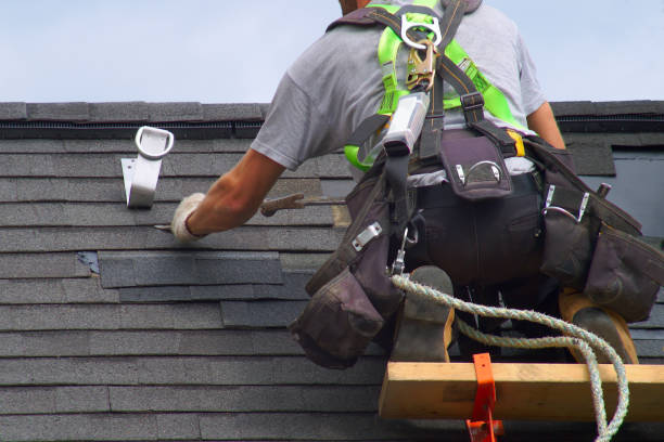 Best Roof Gutter Cleaning  in Seneca, MO